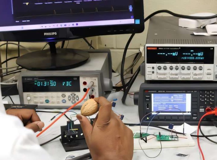 Coin-sized device uses nut waste and drops of water to generate green energy