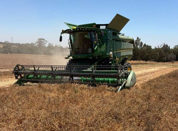 Satellite imagery-driven models support chickpea farmers in the field