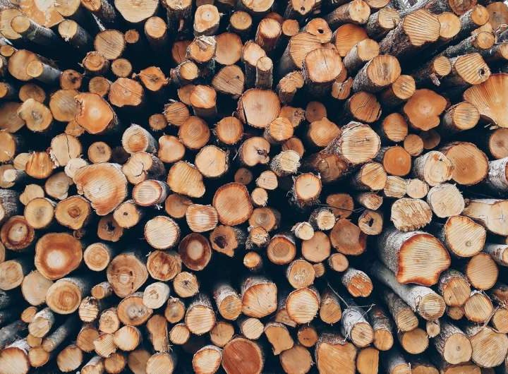 Repurposing wood waste for a clean, green alternative to fossil-based chemicals