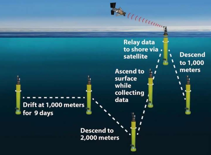 New AI approach sharpens picture of carbon export in the Southern Ocean