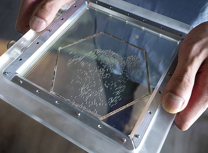 Packed particles power up: Physicists discover particles that accelerate when crowded