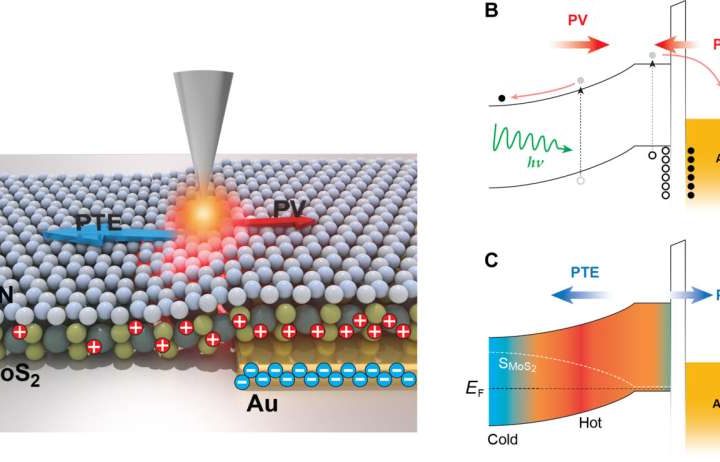 New imaging method reveals how light and heat generate electricity in nanomaterials