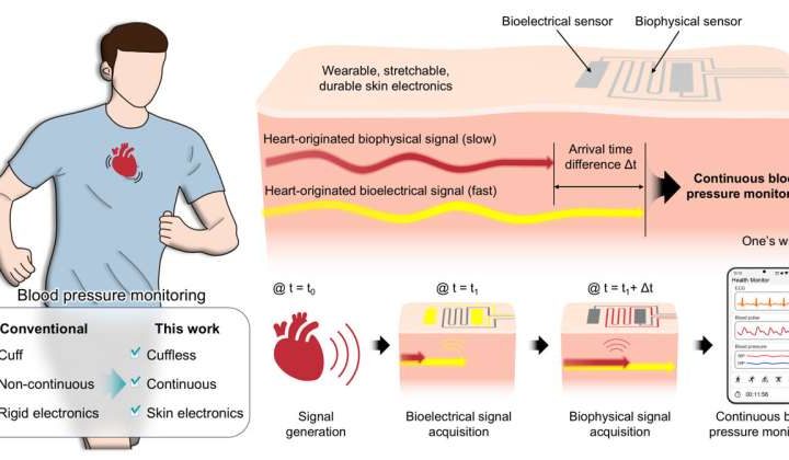Wearable blood pressure monitor attaches like a bandage for real-time continuous measurement