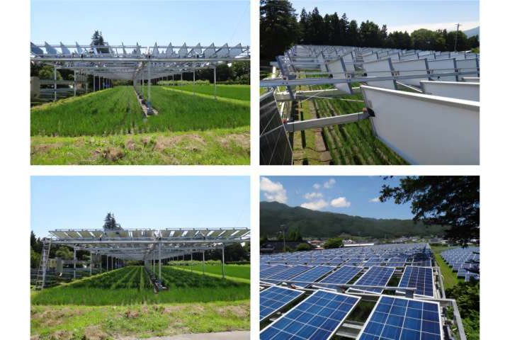 Agrivoltaics addresses the needs for both clean electricity production and land use for food