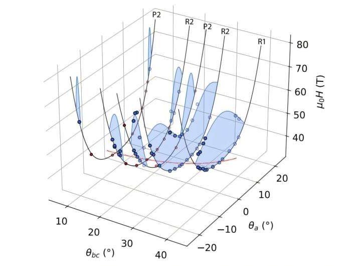 Superconductivity’s halo: Theoretical physicist helps map rare high-field phase
