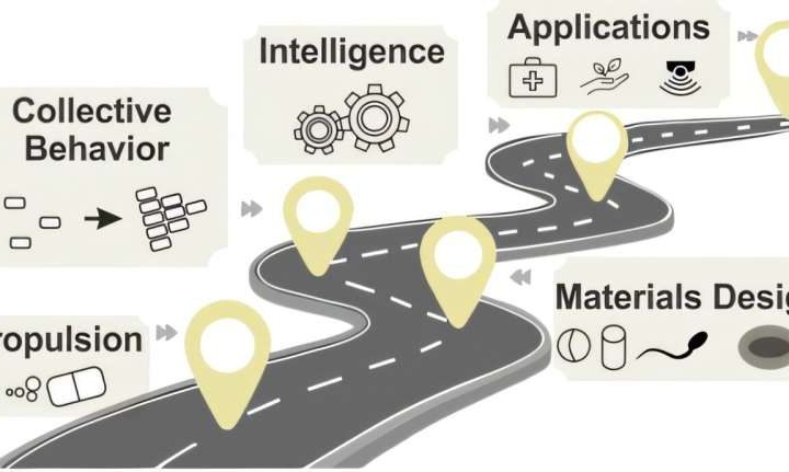 Technology roadmap of micro/nanorobots