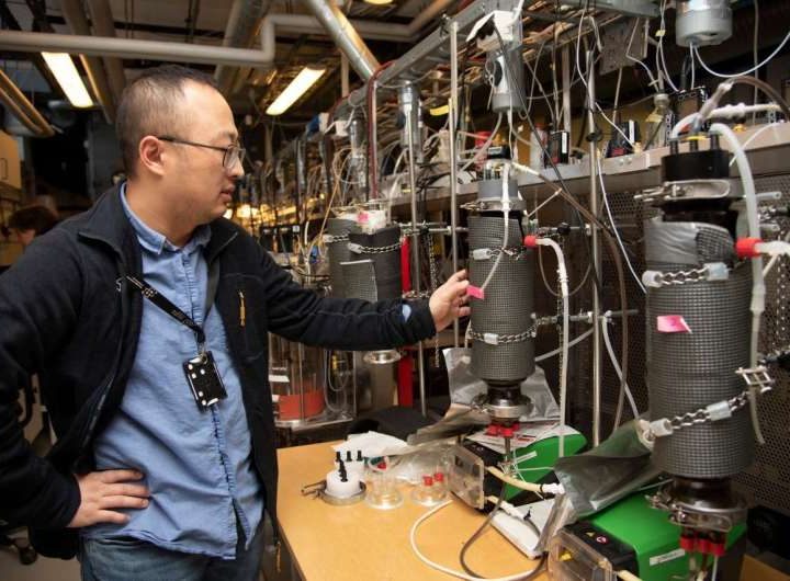 Thin biofilm can transform CO₂ into renewable energy