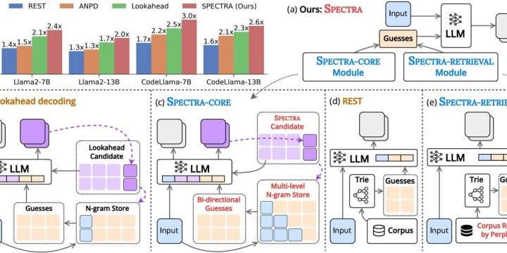Toward a new framework to accelerate large language model inference