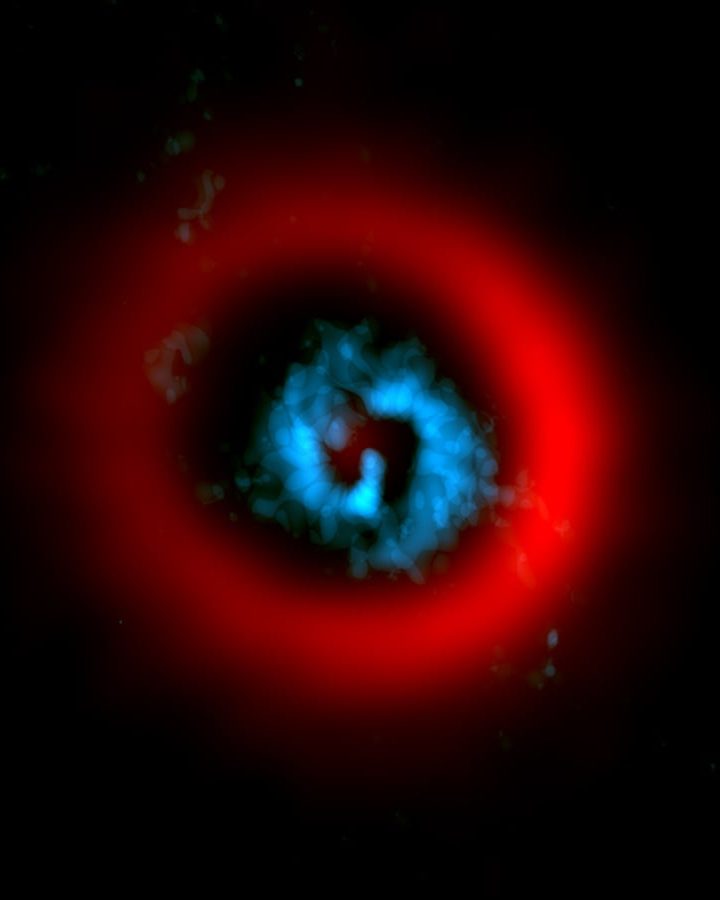 Astronomers Catch a Planet in the Act of Being Born