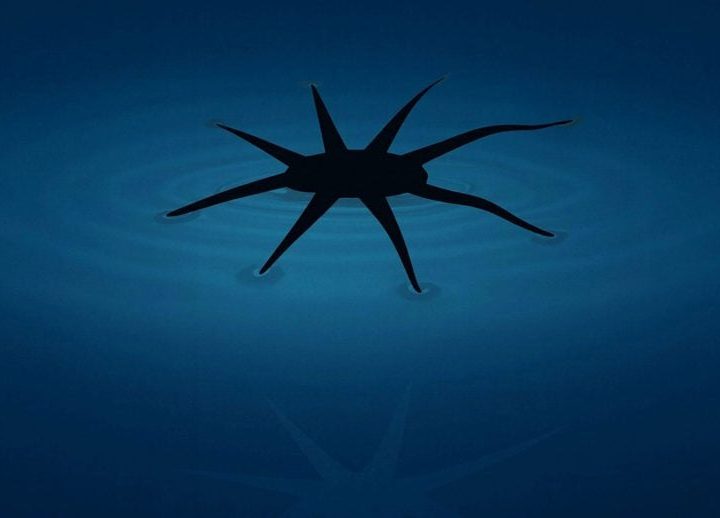 Engineers Create Soft Robots That Can Literally Walk on Water