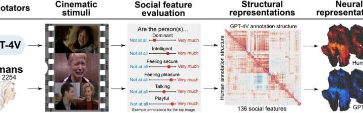 AI can evaluate social situations in a similar way to humans, offering new neuroscience research avenues