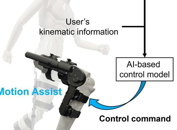 Artificial intelligence enables exoskeletons to assist users more efficiently