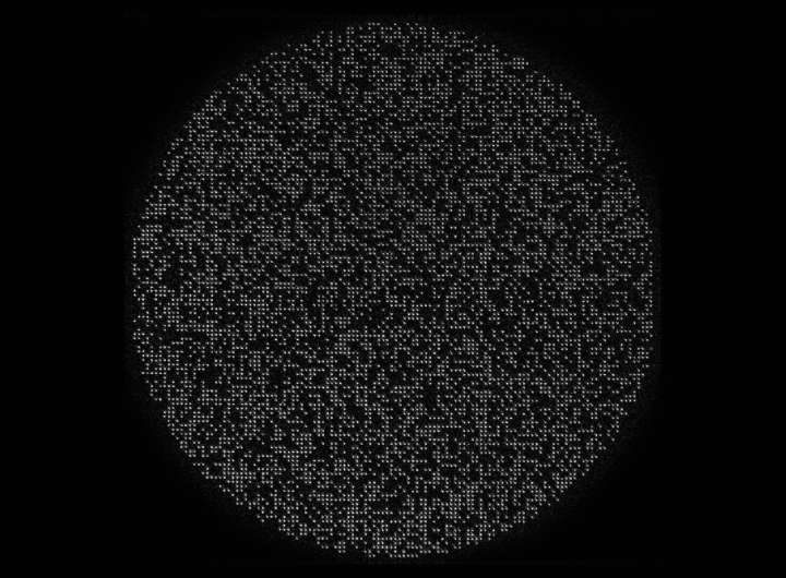 Physicists set record with 6,100-qubit array