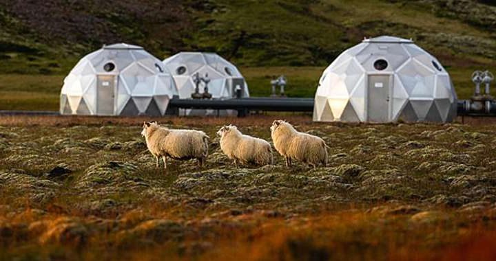 From offshore to onshore: Europe expands carbon storage with nature-inspired tech