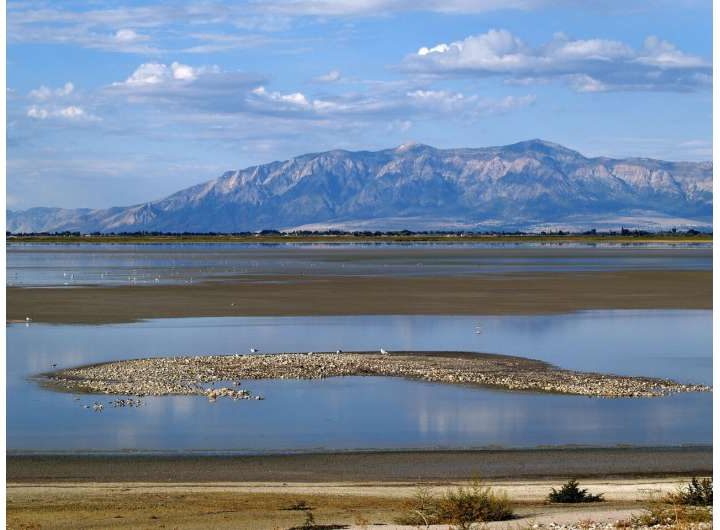 New method could offer a sustainable solution for lithium recovery