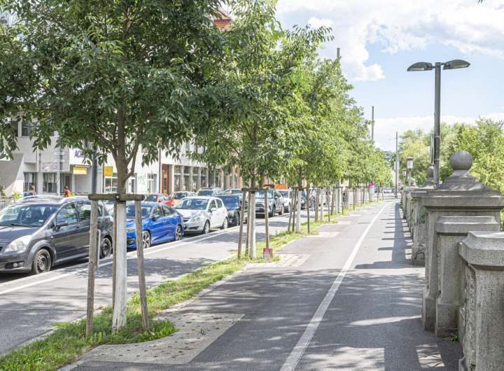 Less pollution during heavy rainfall: Researchers calculate potential of nature-based measures in cities