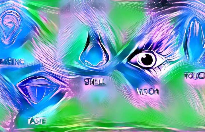 Mathematical model of memory suggests seven senses are optimal