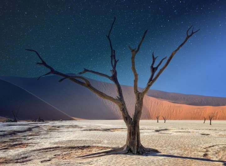 Three reports released supporting Namibia’s green hydrogen ambitions