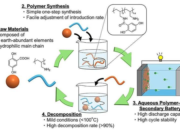 Organic polymer paves the way for recyclable water-based batteries