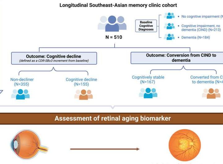AI-powered eye scan predicts risk of cognitive decline and dementia