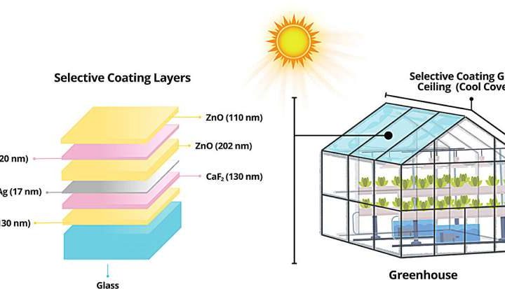 Sunglasses for sustainable agriculture: Multilayer film reflects heat but lets in light for plant growth