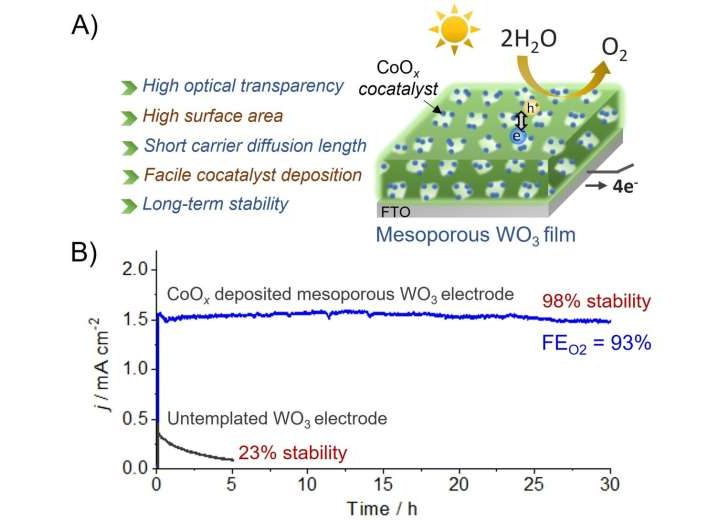 Transparent mesoporous WO₃ film enhances solar water splitting efficiency and stability