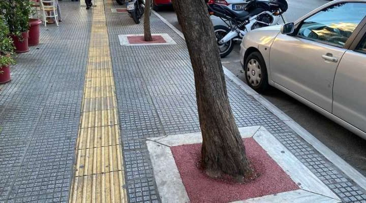 Urban heat relief: Trees need water and space to maximize cooling, study finds