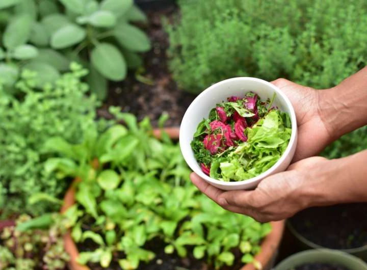 Seeds of change: Can Europe’s organic farming shape the future of food?