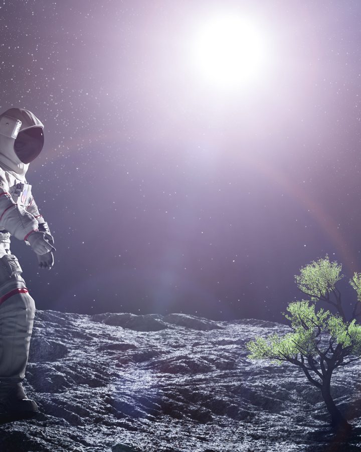 Tea plants thrive in lunar soil after space farming breakthrough