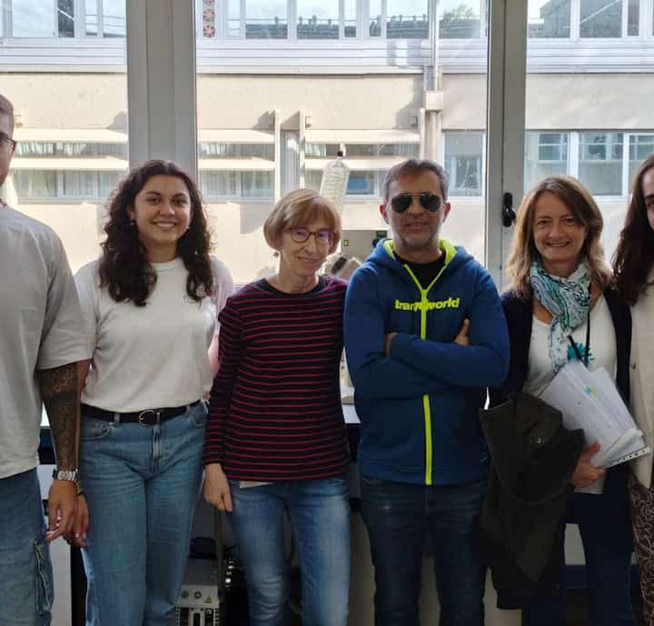 Machine learning optimizes nanoparticle design for drug delivery to the brain