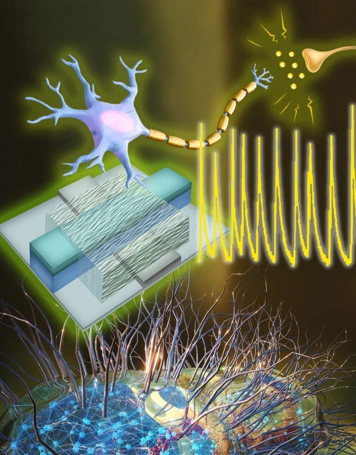 Scientists Create Artificial Neuron That “Speaks” the Language of the Brain
