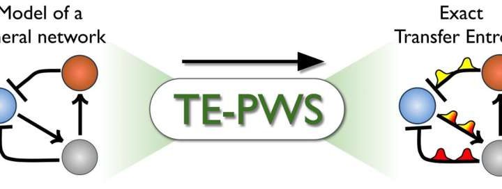 Algorithm precisely quantifies flow of information in complex networks