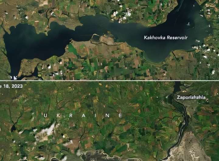 Byte by byte: How AI is reshaping agriculture