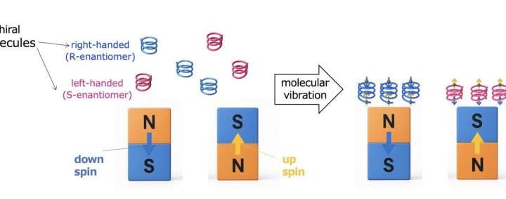 Discovery of a new principle: Chiral molecules adhere to magnets