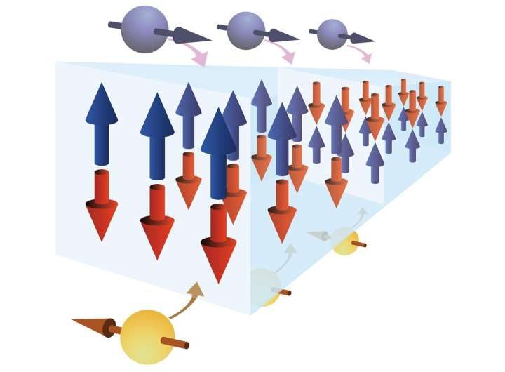 Dual torque from electron spins drives magnetic domain wall displacement