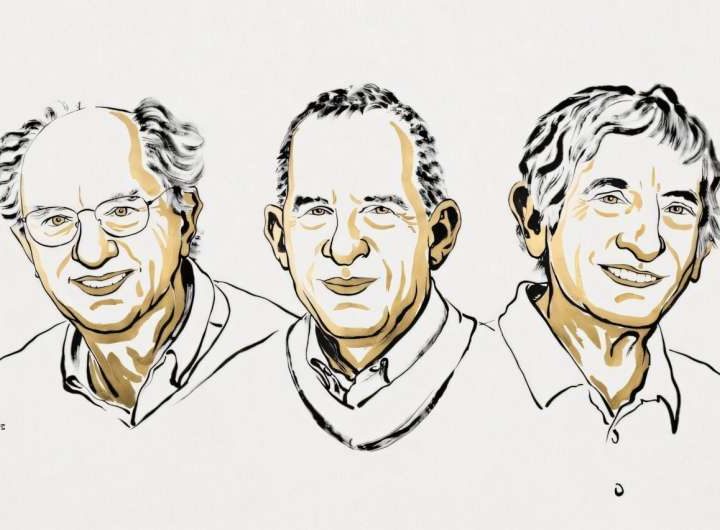 From artificial atoms to quantum information machines: Inside the 2025 Nobel Prize in physics