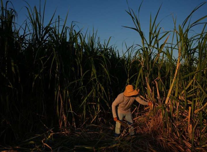 In a California farming region, researchers are mapping rural heat to protect farmworkers