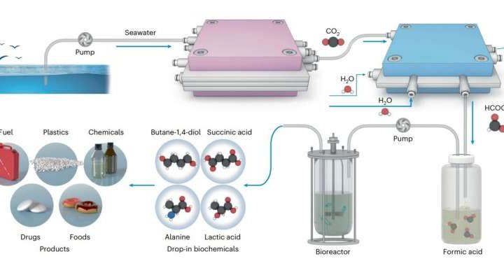 Making sustainable plastic from the carbon dioxide in the ocean