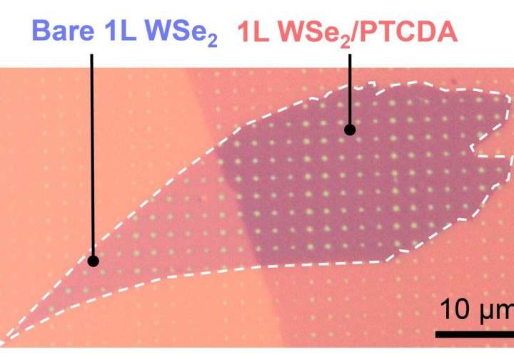 Molecular coating cleans up noisy quantum light