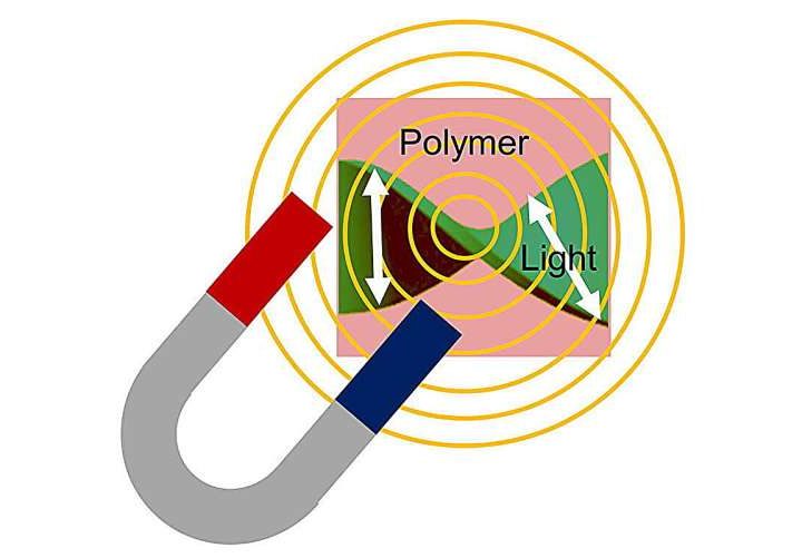 Novel method for controlling Faraday rotation in conductive polymers