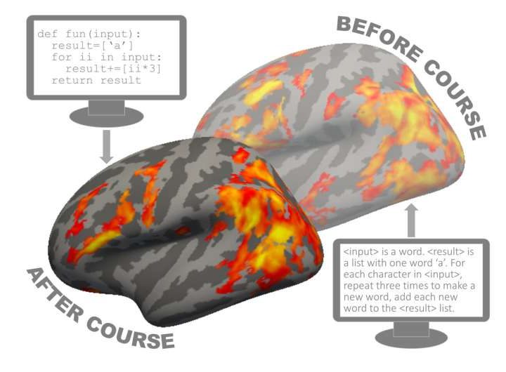Tracking the neural activity of undergrads reveals how the human brain learns to code