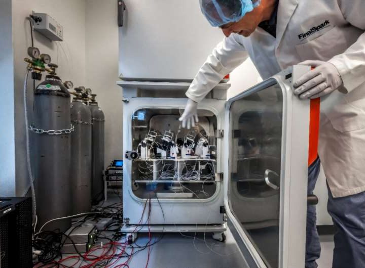 ‘Wetware’: Scientists use human mini-brains to power computers