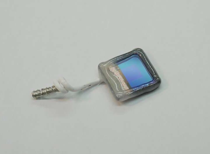 Biohybrid leaf mimics photosynthesis to turn CO₂ and sunlight into useful chemicals