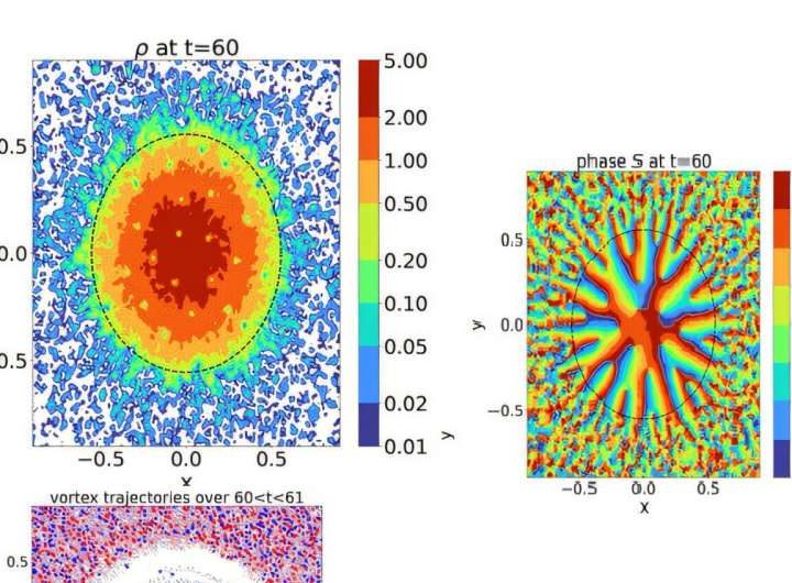 Vortices in ultralight dark matter halos could reveal new clues to cosmic structure