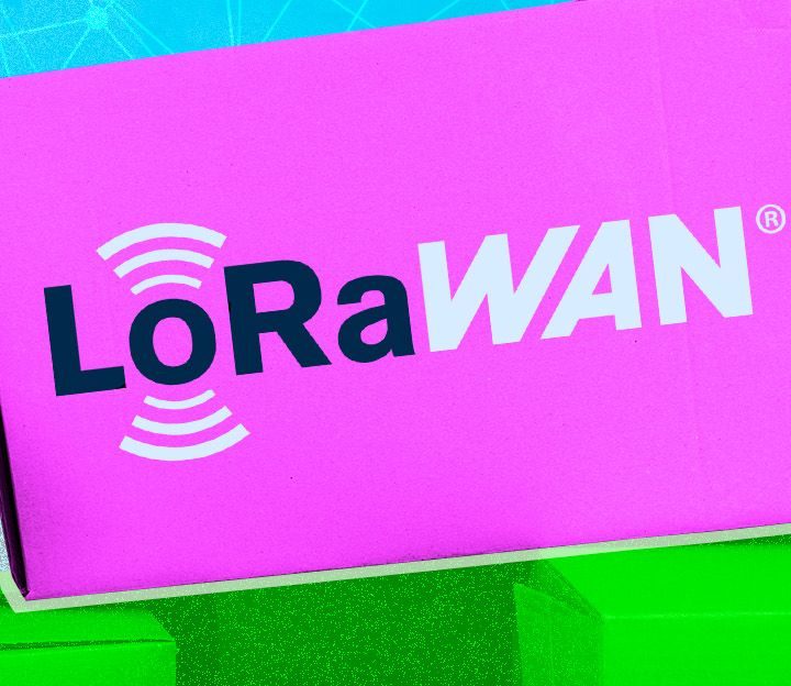 LoRaWAN In A Box: End-to-End IoT Without Complexity or Lock-In