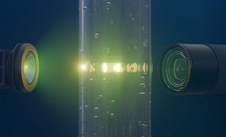 Turbulent Bubbles Confirm a Century-Old Physics Theory