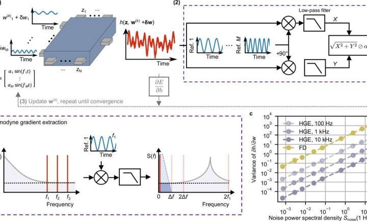 A new route to optimize AI hardware: Homodyne gradient extraction
