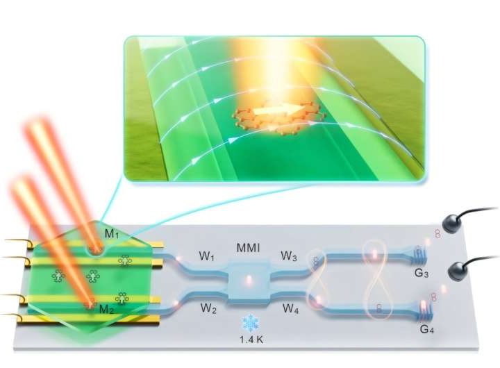 Quantum photonic chip integrates light-emitting molecules with single-mode waveguides