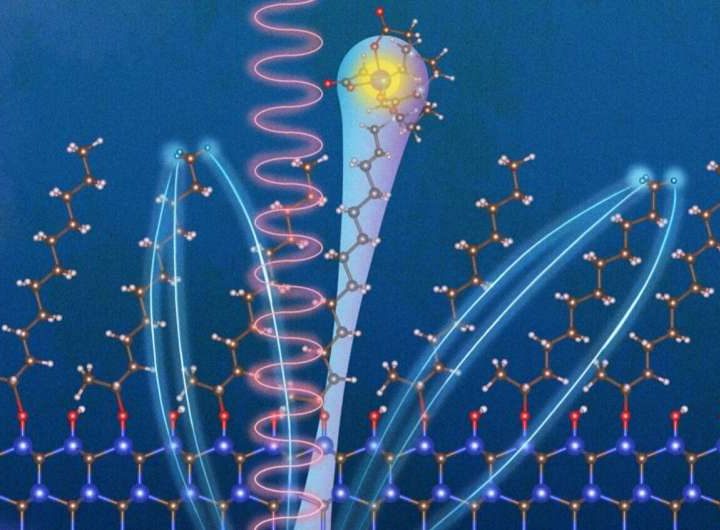 Quantum sensor based on silicon carbide qubits operates at room temperature