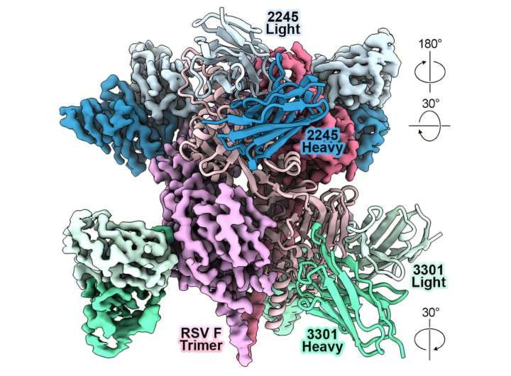 AI can speed antibody design to thwart novel viruses